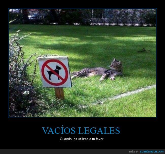 carteles,césped,gatos,prohibición