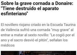 Enlace a Mal sitio para recibir una cornada