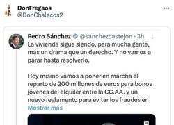 Enlace a Una corbata elegida para la ocasión