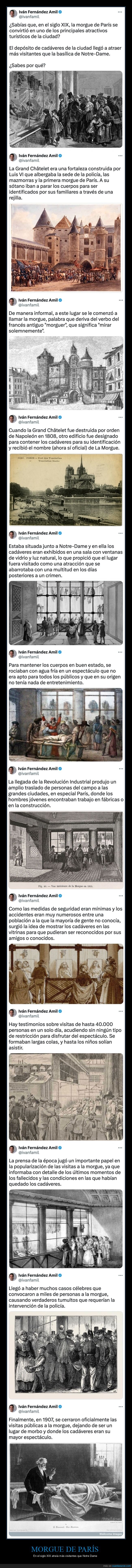 morgue,parís,visitantes