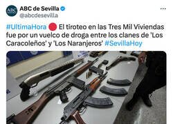 Enlace a El motivo del tiroteo
