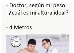 Enlace a Su altura ideal