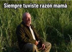 Enlace a Las madres siempre tienen razón