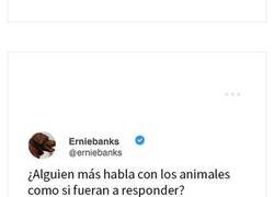 Enlace a Tuits tan divertidos como acertados para recargar las pilas