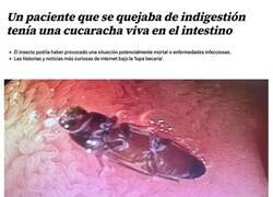 Enlace a Cucaracha resistente