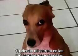 Enlace a Debió mirarlo antes...