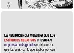Enlace a Por qué tu cerebro se enfoca en lo negativo (y cómo cambiarlo)