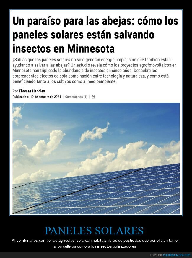 abejas,paneles solares