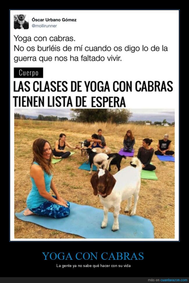 cabras,yoga