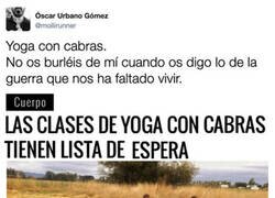 Enlace a La enésima tendencia absurda