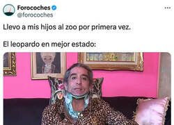 Enlace a Decepción en el zoo
