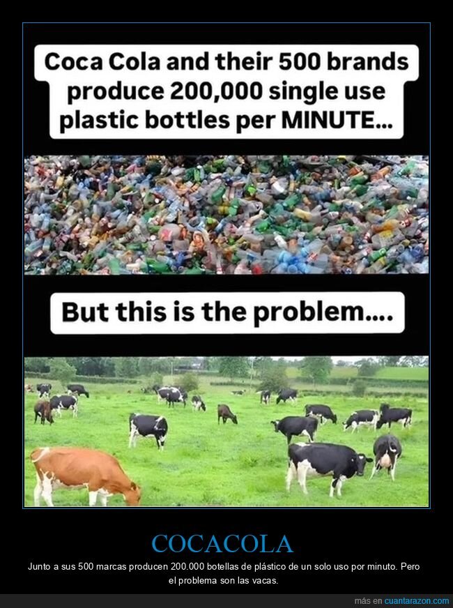 cocacola,botellas,vacas