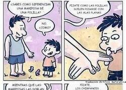 Enlace a Enseñando las diferencias
