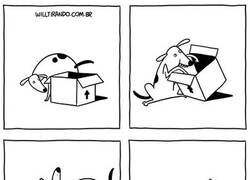 Enlace a Qué vida más perra...