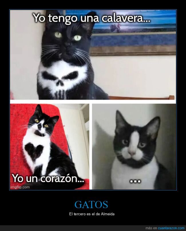 gatos,calavera,corazón