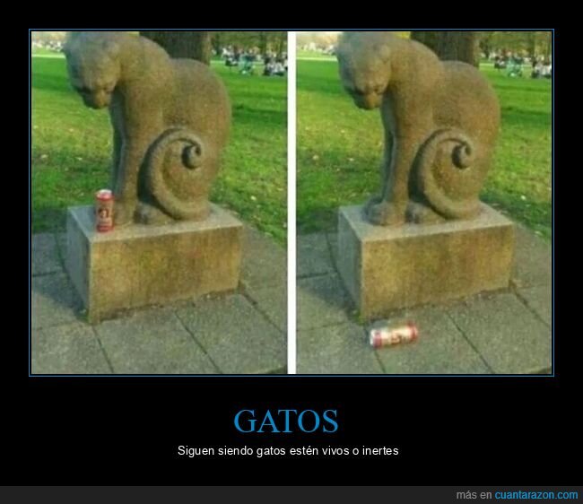 gato,estatua,lata,tirar