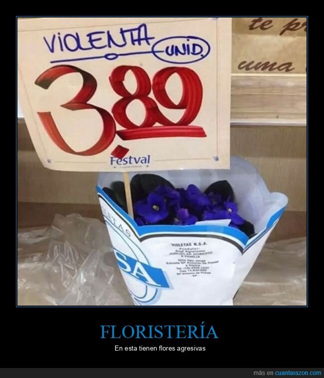carteles,fails,flores,violenta,violeta