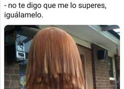 Enlace a Corte profesional