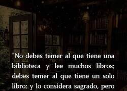 Enlace a El peligro de un solo libro