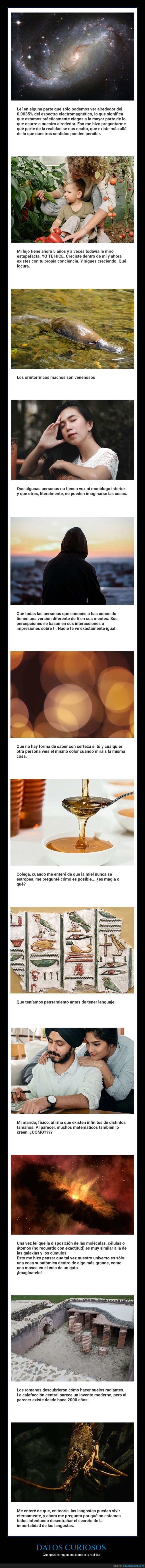 datos interesantes,curiosidades