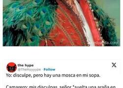 Enlace a Memes que muestran el lado hilarantemente irritable de la gente en Internet