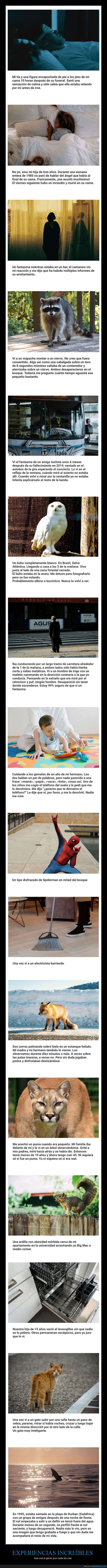 experiencias,inexplicables,creer