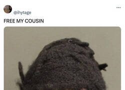 Enlace a Que lo dejen donde está