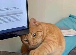 Enlace a No se puede bajar la guardia ni un segundo