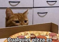 Enlace a Todo es cuestión de proponérselo