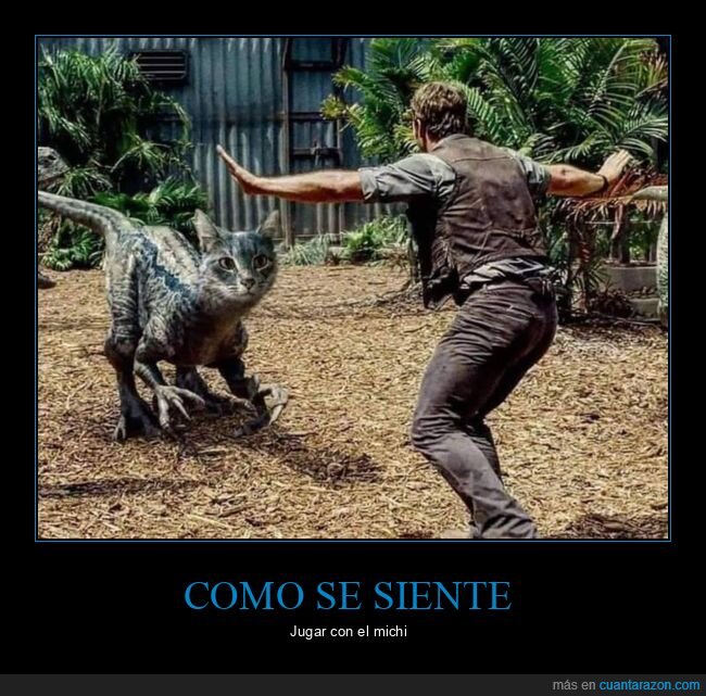 gatos,jugar,jurassic world