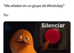 Enlace a Lo primero que se hace