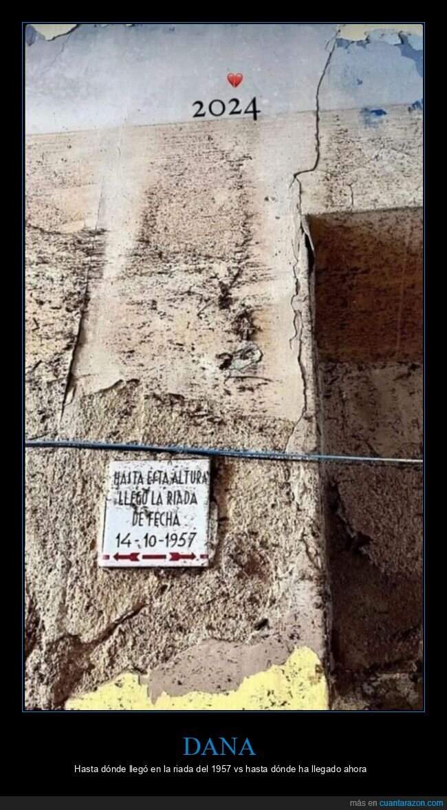 dana,riada,1957,2024