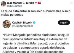 Enlace a Los conspiranoicos prosiguen con su campaña desinformativa