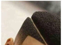 Enlace a Intento de corte de pelo fallido