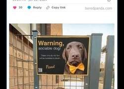 Enlace a Publicaciones geniales con alto contenido reconfortante