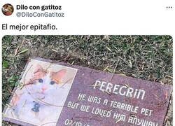 Enlace a Epitafio felino