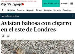 Enlace a Noticia de interés