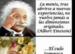 Enlace a Saben de qué hablan