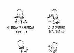 Enlace a Una actividad terapéutica