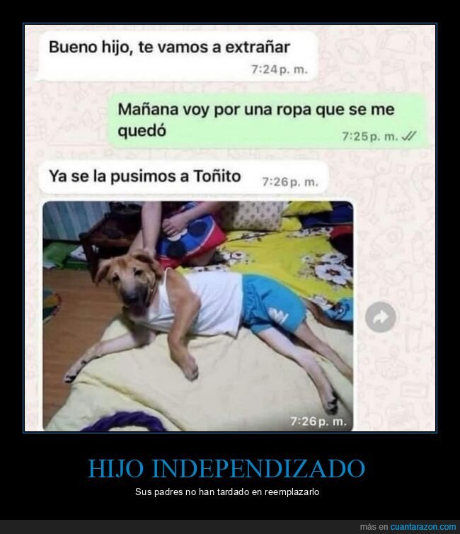 echar de menos,hijo,padres,perros,ropa