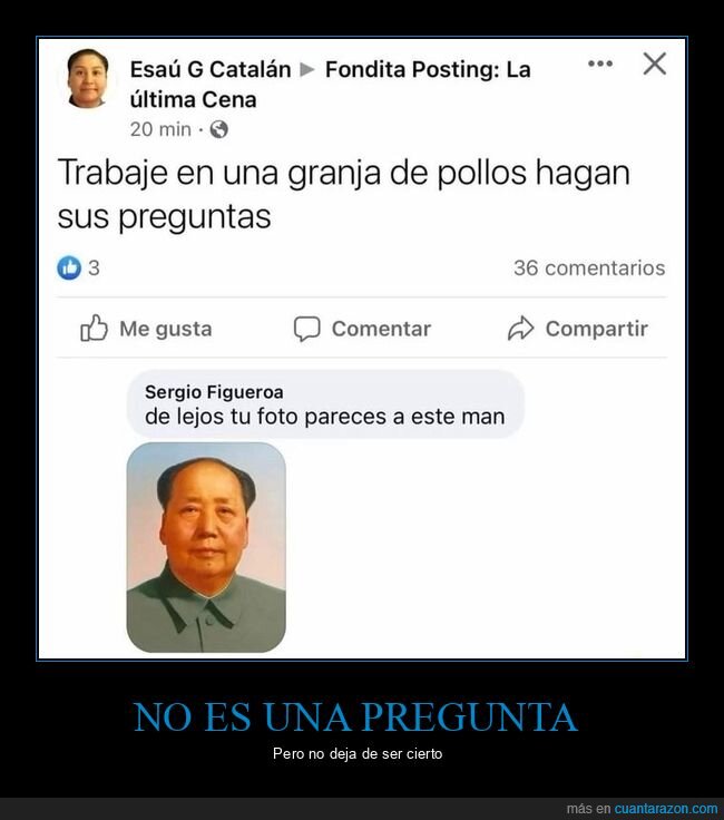 mao,parecidos