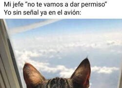 Enlace a Sin esperar el permiso