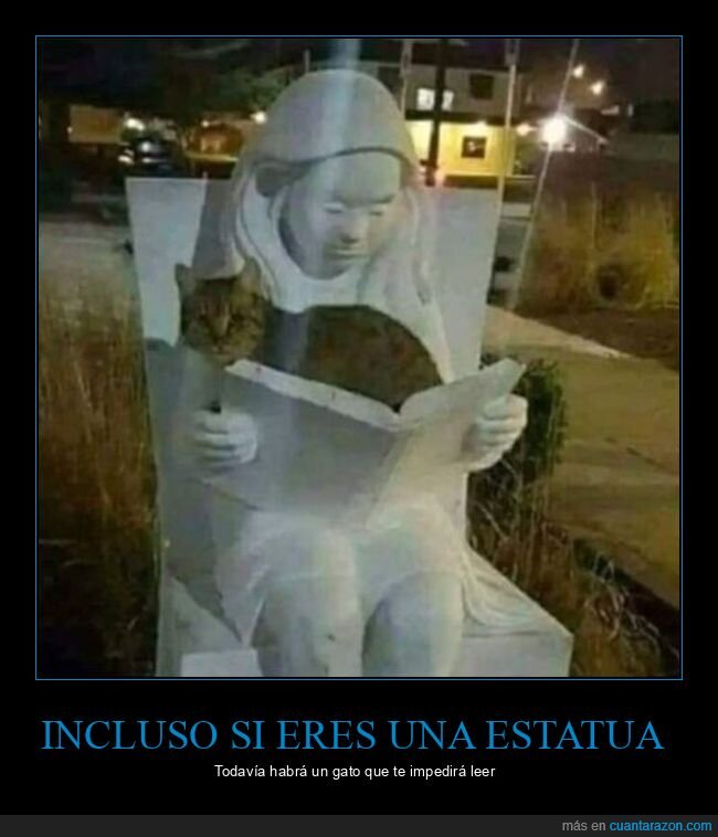 estatua,gato,leer