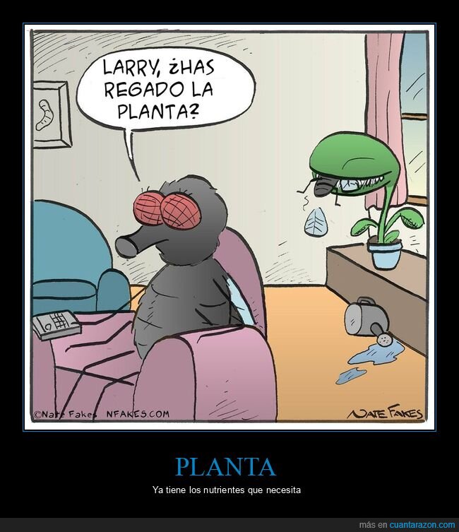 moscas,planta carnívora