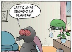 Enlace a No era agua lo que esa planta quería