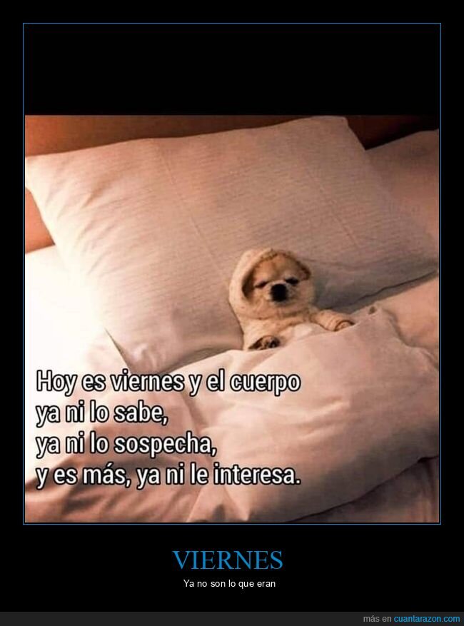 viernes,cuerpo,saber