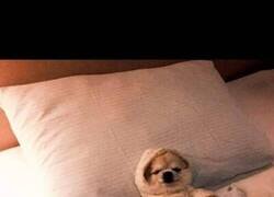 Enlace a Cuando los viernes ya te dan igual