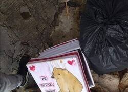 Enlace a Amor tirado a la basura