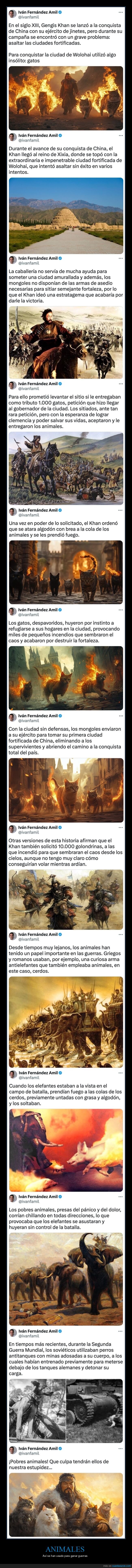 animales,guerras,gengis khan