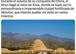 Enlace a Formas insólitas de utilizar animales para ganar guerras